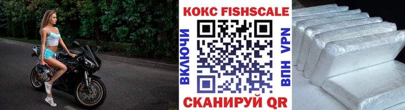 COCAIN FishScale Купить закладки Заринск
