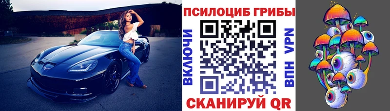 Псилоцибиновые грибы MAGIC MUSHROOMS  Купить закладки  Заринск 